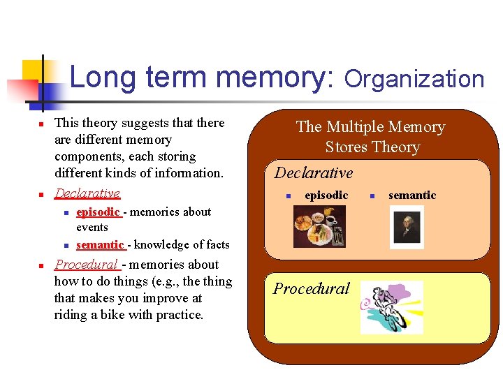 Long term memory: Organization n n This theory suggests that there are different memory