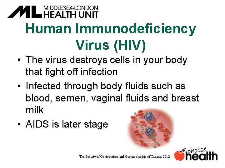 Human Immunodeficiency Virus (HIV) • The virus destroys cells in your body that fight