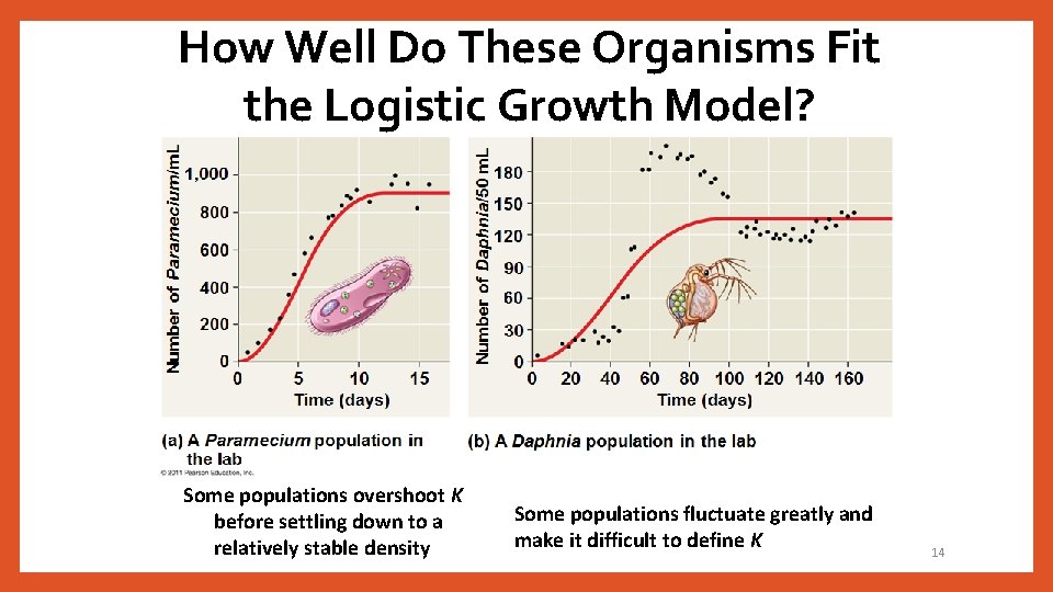 How Well Do These Organisms Fit the Logistic Growth Model? Some populations overshoot K