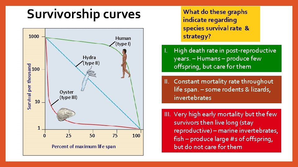 Survivorship curves Survival per thousand 1000 Human (type I) I. High death rate in