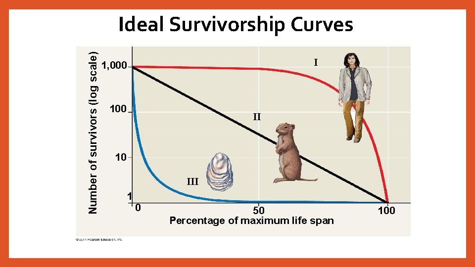 Number of survivors (log scale) Ideal Survivorship Curves I 1, 000 100 II 10