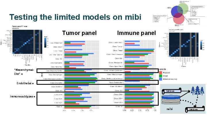 Testing the limited models on mibi Tumor panel Immune panel “Mesenchymallike” → Endothelial →