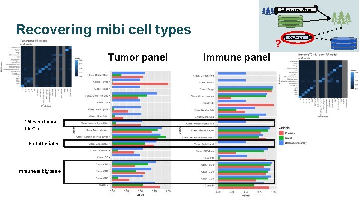 Cell type predictions Recovering mibi cell types ? Tumor panel “Mesenchymallike” → Endothelial →