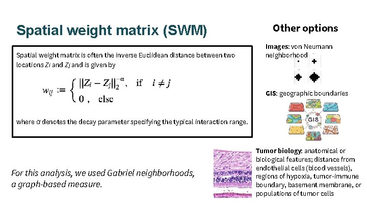 Spatial weight matrix (SWM) Spatial weight matrix is often the inverse Euclidean distance between