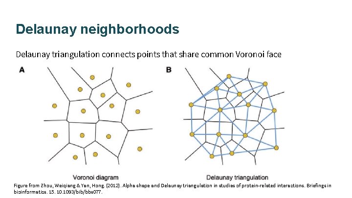 Delaunay neighborhoods Delaunay triangulation connects points that share common Voronoi face Figure from Zhou,