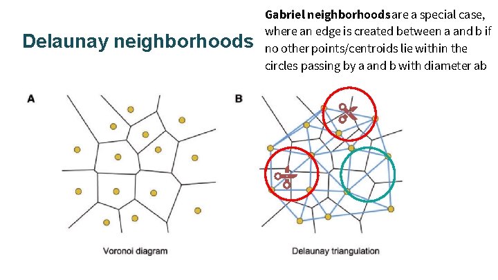 Delaunay neighborhoods Gabriel neighborhoods are a special case, where an edge is created between