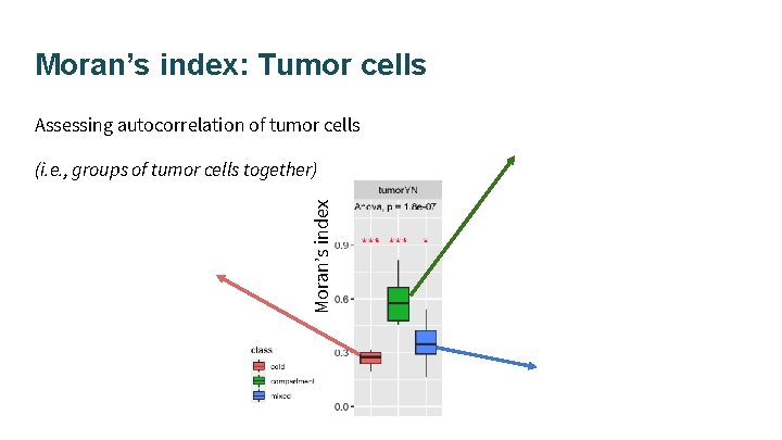Moran’s index: Tumor cells Assessing autocorrelation of tumor cells Moran’s index (i. e. ,