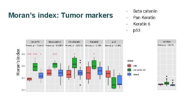 Moran’s index: Tumor markers - Beta catenin Pan Keratin 6 p 53 