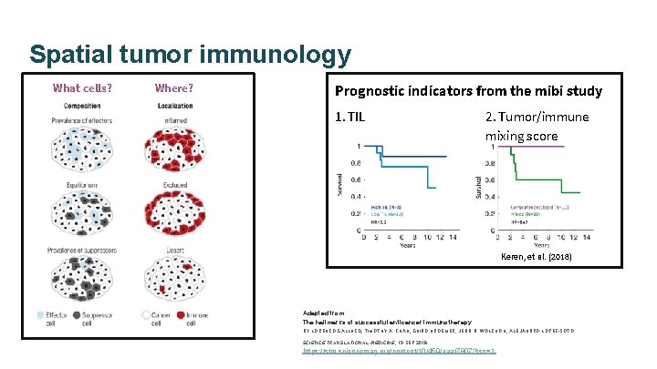 Spatial tumor immunology What cells? Where? Prognostic indicators from the mibi study 1. TIL