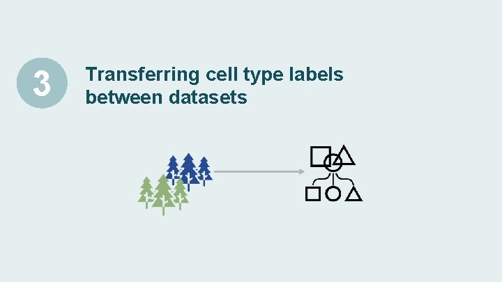 3 Transferring cell type labels between datasets 