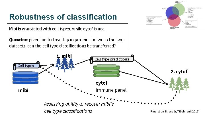 Robustness of classification Mibi is annotated with cell types, while cytof is not. Question: