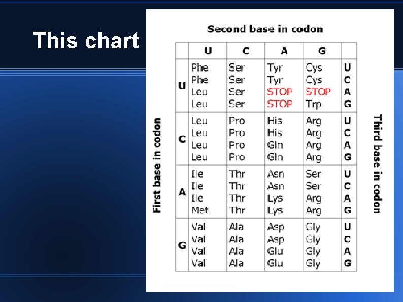 MT 5 Protein Synthesis Simple Detail I will