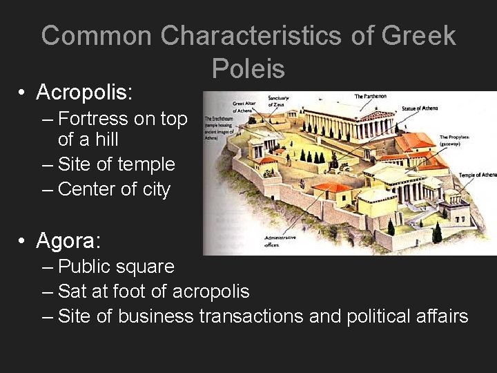 Common Characteristics of Greek Poleis • Acropolis: – Fortress on top of a hill