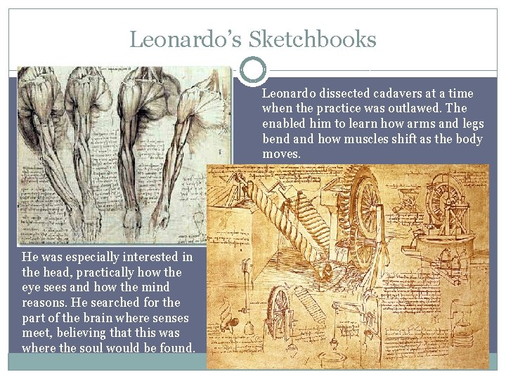 Leonardo’s Sketchbooks Leonardo dissected cadavers at a time when the practice was outlawed. The