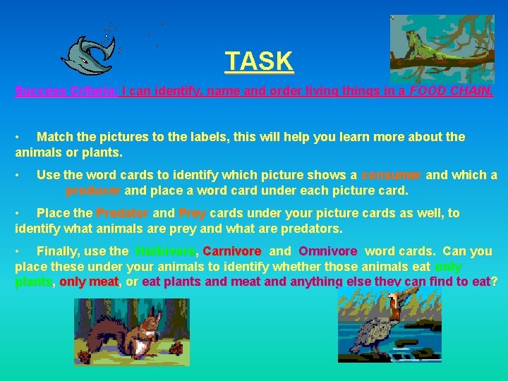 TASK Success Criteria: I can identify, name and order living things in a FOOD