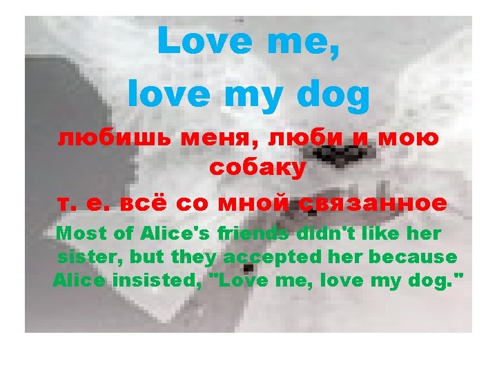 Love me, love my dog любишь меня, люби и мою собаку т. е. всё