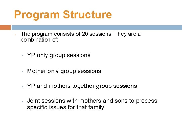 Program Structure • The program consists of 20 sessions. They are a combination of: