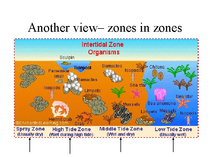 Another view– zones in zones 