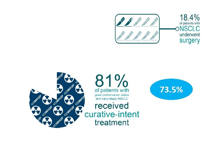 73. 5% 73. 5%