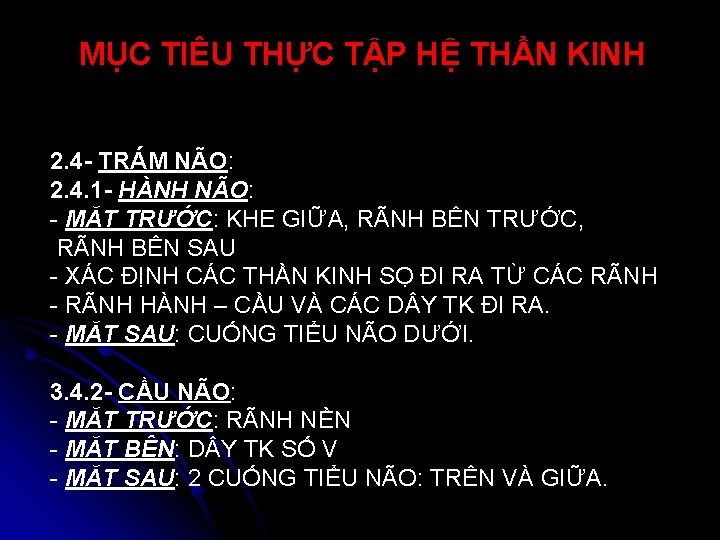 MỤC TIÊU THỰC TẬP HỆ THẦN KINH 2. 4 - TRÁM NÃO: 2. 4.