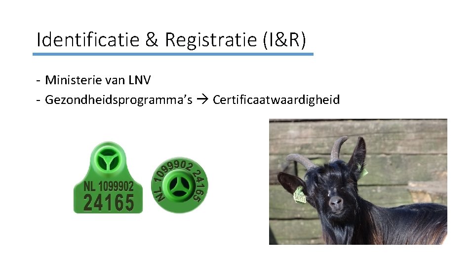 Identificatie & Registratie (I&R) - Ministerie van LNV - Gezondheidsprogramma’s Certificaatwaardigheid 