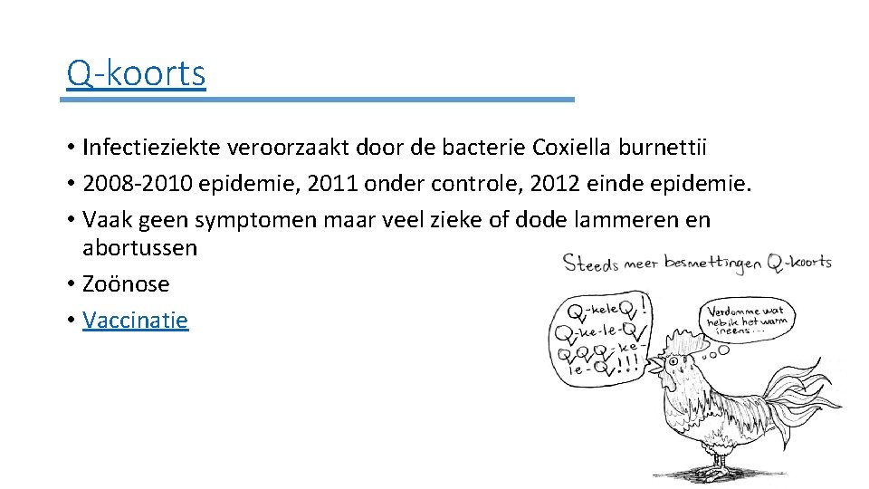 Q-koorts • Infectieziekte veroorzaakt door de bacterie Coxiella burnettii • 2008 -2010 epidemie, 2011