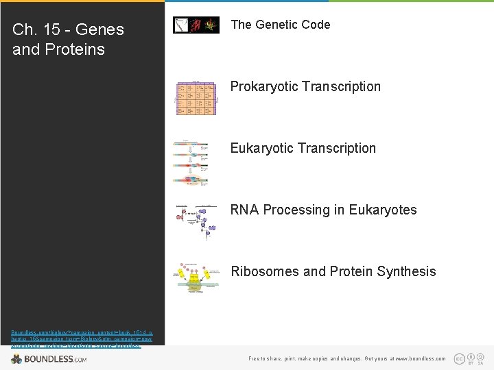 Ch 15 Genes and Proteins The Genetic Code