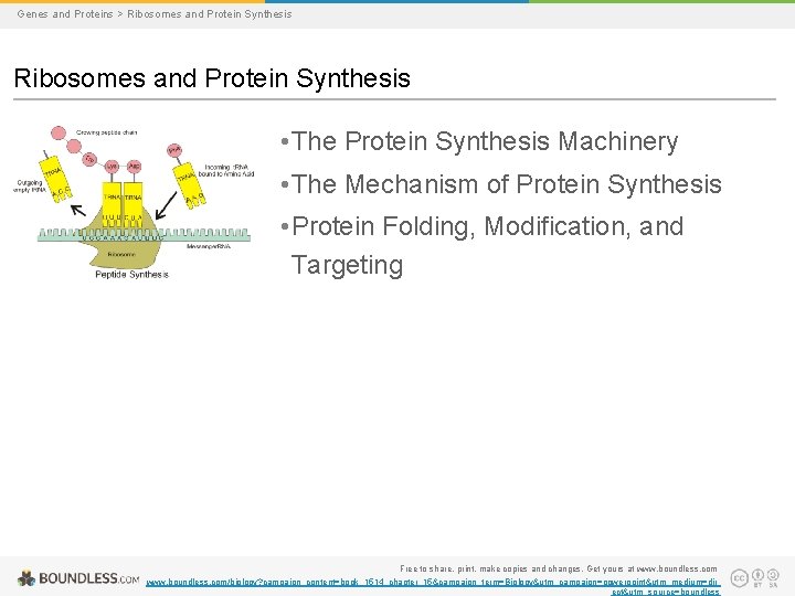 Ch 15 Genes and Proteins The Genetic Code