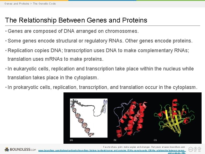 Ch 15 Genes and Proteins The Genetic Code