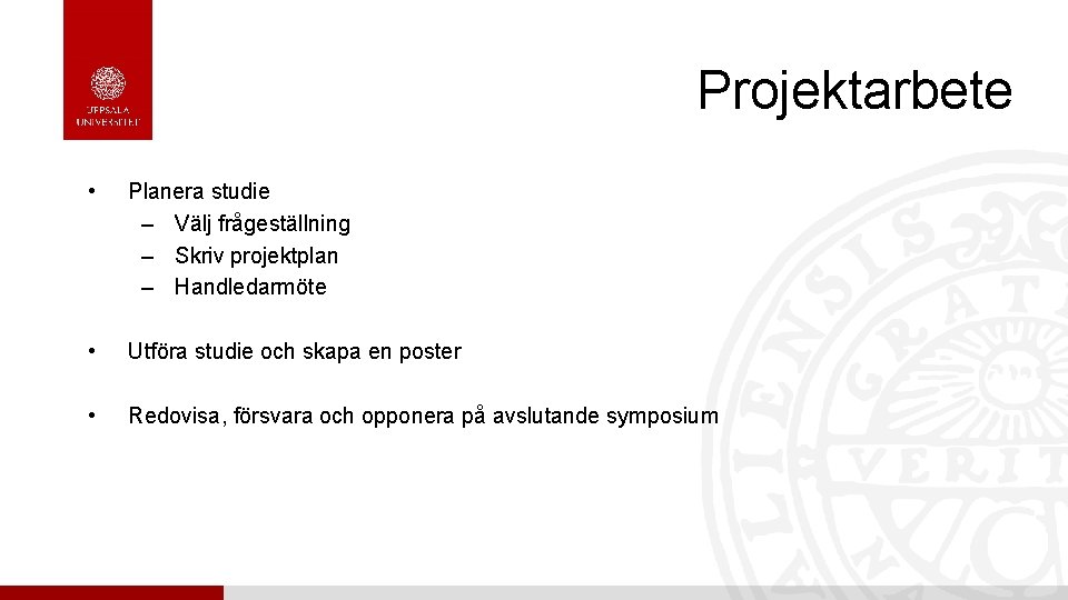 Projektarbete • Planera studie – Välj frågeställning – Skriv projektplan – Handledarmöte • Utföra