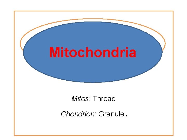 MITOCHONDRIA Mitochondria Mitos: Thread Chondrion: Granule . 