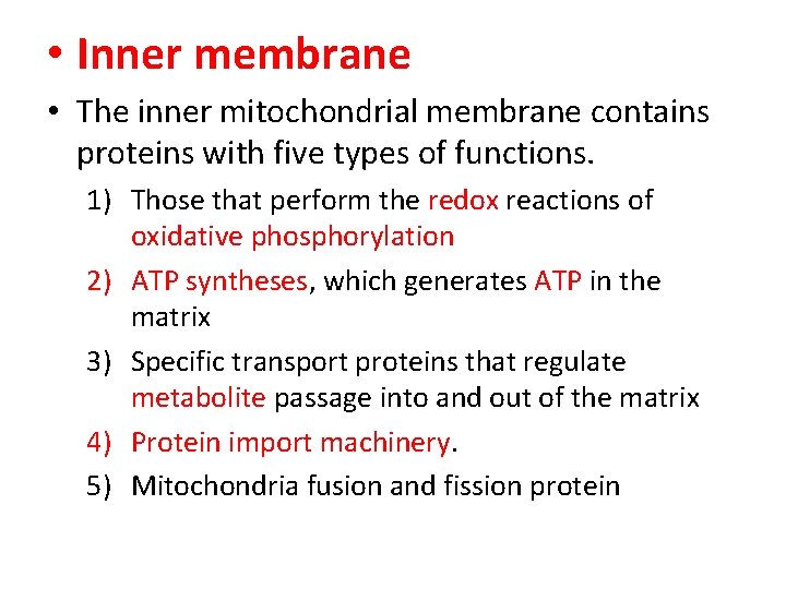  • Inner membrane • The inner mitochondrial membrane contains proteins with five types