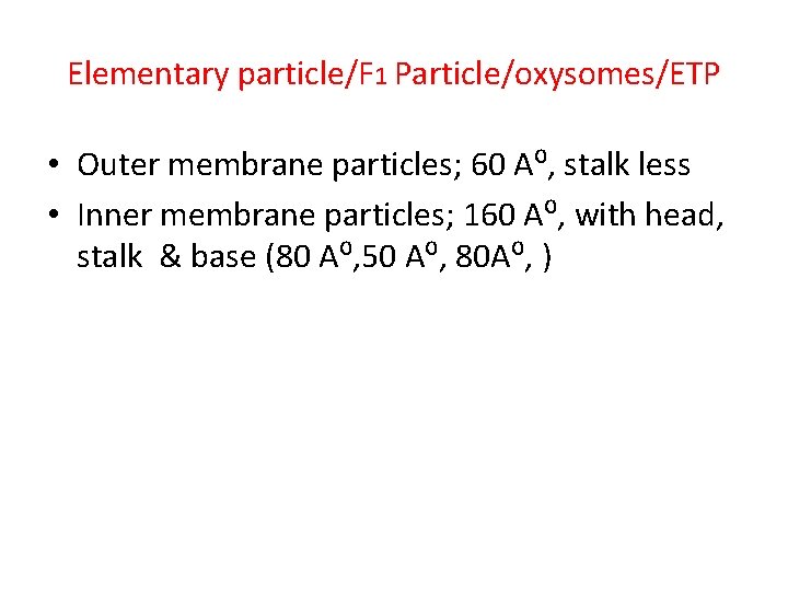 Elementary particle/F 1 Particle/oxysomes/ETP • Outer membrane particles; 60 A⁰, stalk less • Inner