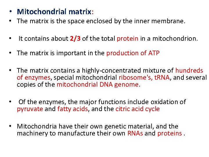  • Mitochondrial matrix: • The matrix is the space enclosed by the inner