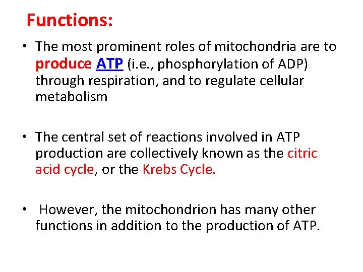 Functions: • The most prominent roles of mitochondria are to produce ATP (i. e.