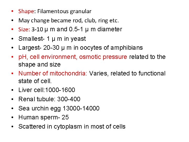  • • • Shape: Filamentous granular May change became rod, club, ring etc.