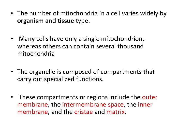  • The number of mitochondria in a cell varies widely by organism and