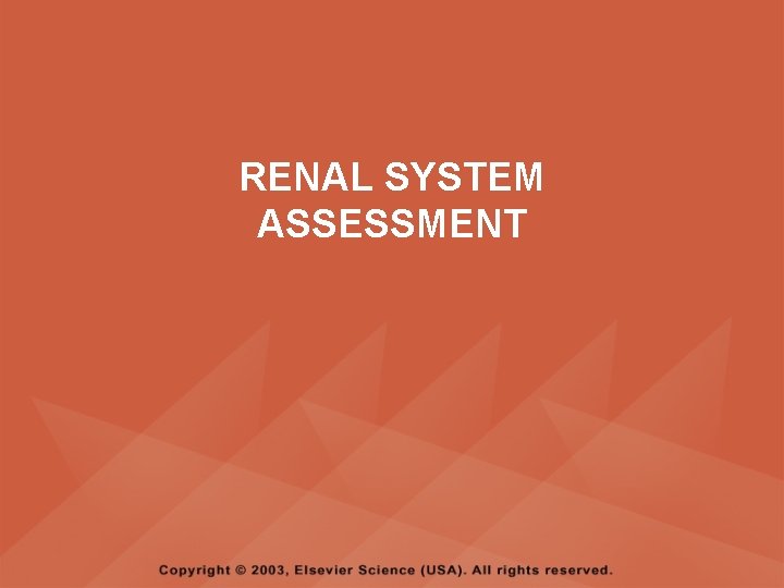 RENAL SYSTEM ASSESSMENT 