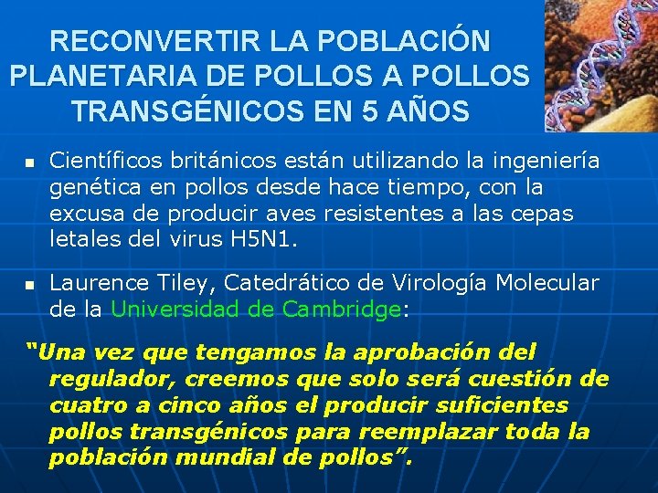 RECONVERTIR LA POBLACIÓN PLANETARIA DE POLLOS A POLLOS TRANSGÉNICOS EN 5 AÑOS n n RECONVERTIR LA POBLACIÓN PLANETARIA DE POLLOS A POLLOS TRANSGÉNICOS EN 5 AÑOS n n