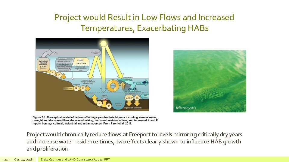 Project would Result in Low Flows and Increased Temperatures, Exacerbating HABs Project would chronically