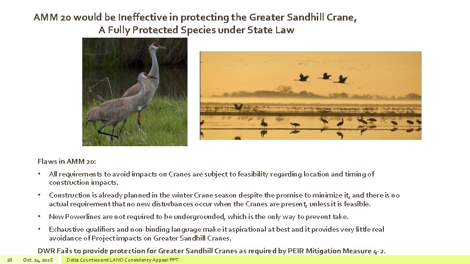 AMM 20 would be Ineffective in protecting the Greater Sandhill Crane, A Fully Protected