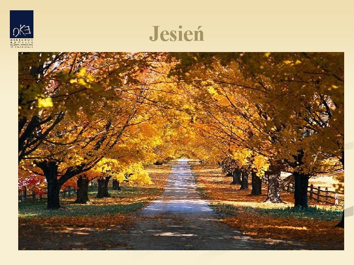 Jesień 