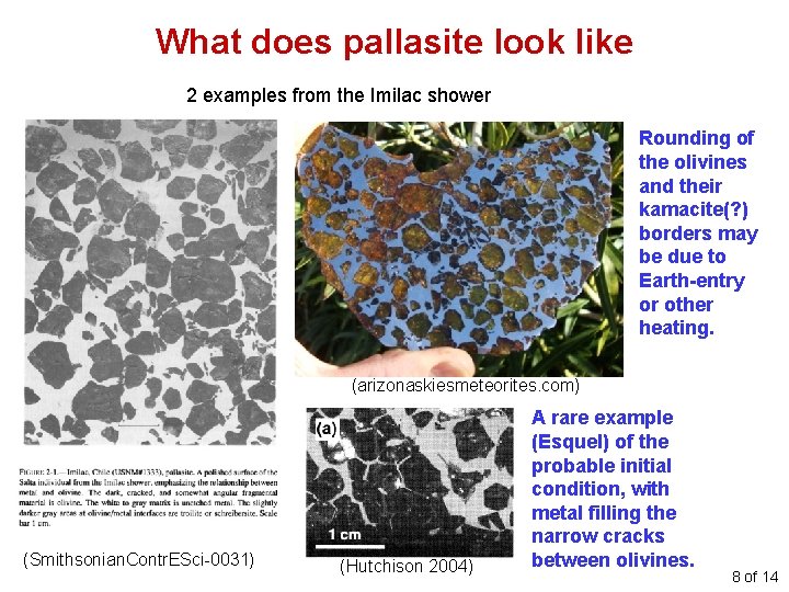What does pallasite look like 2 examples from the Imilac shower Rounding of the