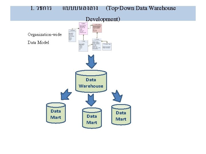 1. วธการ แบบบนลงลาง (Top-Down Data Warehouse Development) Organization-wide Data Model Data Warehouse Data Mart