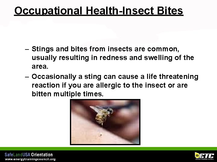 Occupational Health-Insect Bites – Stings and bites from insects are common, usually resulting in