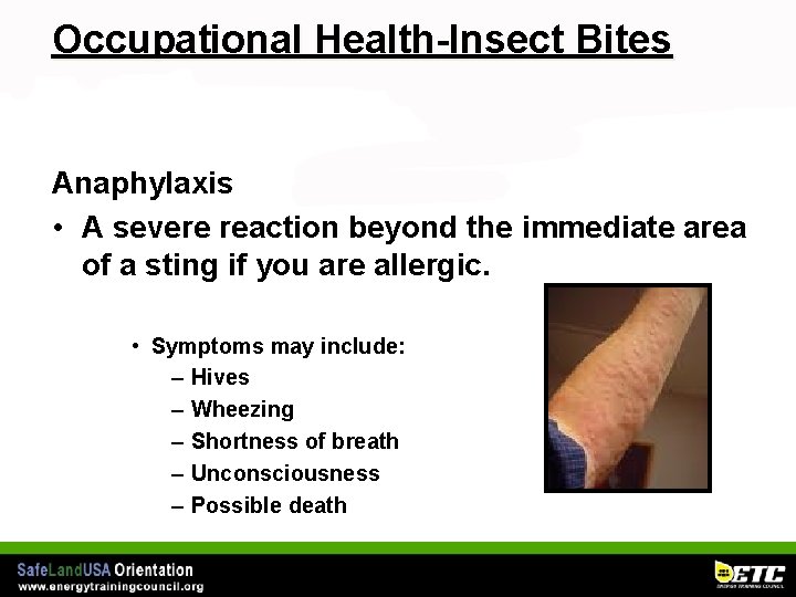 Occupational Health-Insect Bites Anaphylaxis • A severe reaction beyond the immediate area of a