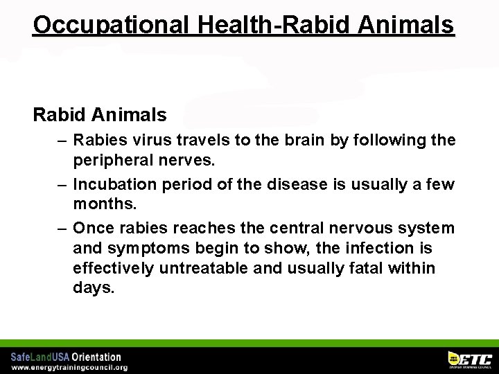 Occupational Health-Rabid Animals – Rabies virus travels to the brain by following the peripheral