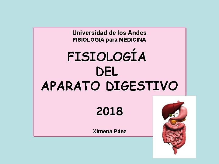 Universidad de los Andes FISIOLOGIA para MEDICINA FISIOLOGÍA DEL APARATO DIGESTIVO 2018 Ximena Páez