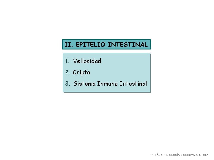 II. EPITELIO INTESTINAL 1. Vellosidad 2. Cripta 3. Sistema Inmune Intestinal X. PÁEZ FISIOLOGÍA