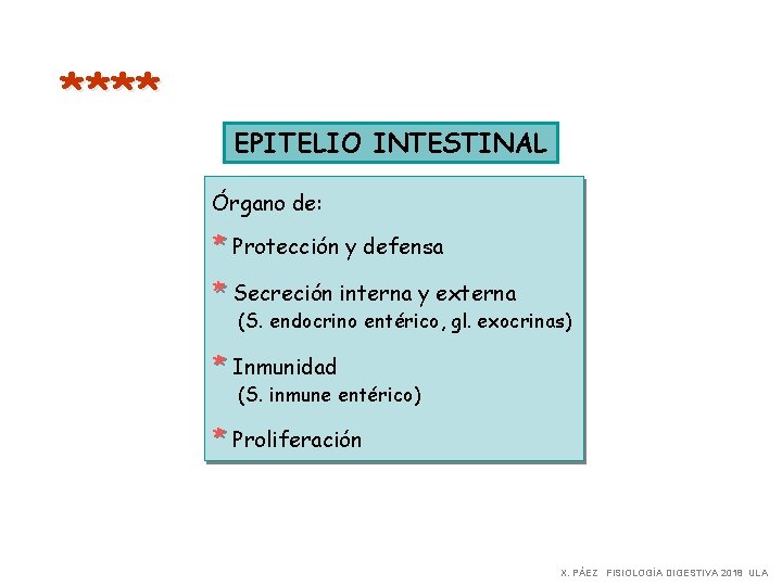 **** EPITELIO INTESTINAL Órgano de: * Protección y defensa * Secreción interna y externa